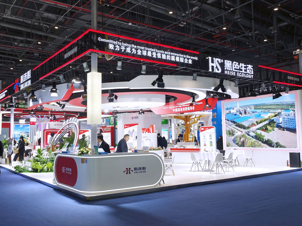 上?；试险古_搭建